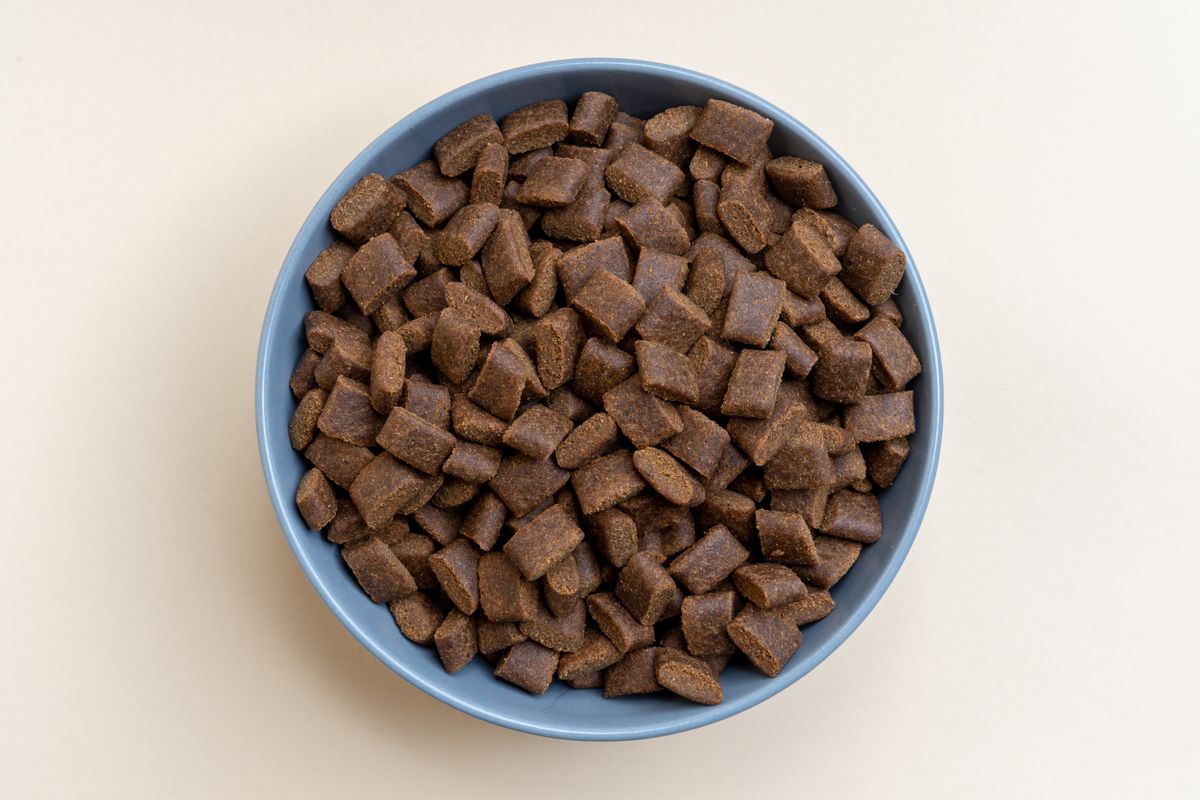 Kibble dalam mangkuk